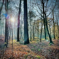 Photo taken at Forêt de Soignes / Zoniënwoud by Tai T. on 12/2/2023