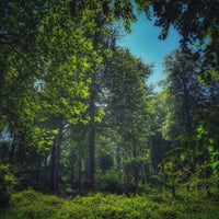 Photo taken at Forêt de Soignes / Zoniënwoud by Tai T. on 5/28/2023