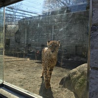 Photo taken at Cheetah by Red P. on 1/13/2018