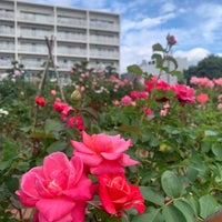 Photo taken at 広尾防災公園 by chiruparu on 10/31/2023