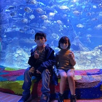 Photo taken at SeaWorld Indonesia by Ibenk D. on 3/14/2021