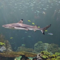 Photo taken at Shedd Aquarium Store by Erandy S. on 10/15/2023