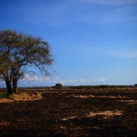 Taman Nasional Baluran Baluran National Park 58 Tips