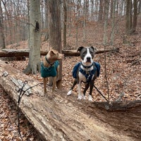Photo taken at Potomac Overlook Regional Park by Hayley G. on 12/1/2023