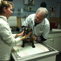 pet care animal hospital blue ash