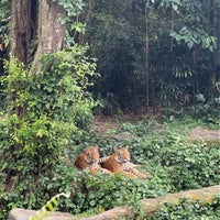 Photo taken at Singapore Zoo by Anonymous on 6/21/2023