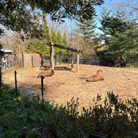 Photo taken at Smithsonian’s National Zoo by Edward G. on 3/29/2024