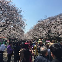 Photo taken at Ueno Park by kazu K. on 4/4/2017