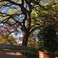 Foto diambil di Dallas Arboretum and Botanical Garden oleh Brad pada 4/2/2016