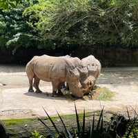 Photo taken at Singapore Zoo by ぬーだい on 9/7/2023