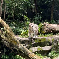 Foto tomada en Singapore Zoo  por ぬーだい el 9/7/2023