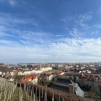 2/25/2024 tarihinde Dashel G.ziyaretçi tarafından Svatováclavská vinice'de çekilen fotoğraf