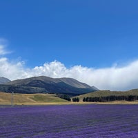 Foto tomada en New Zealand Alpine Lavender Farm and Shop  por Miley F. el 12/31/2023