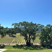 Photo taken at B.R. Cohn Winery by Lolo on 5/10/2024