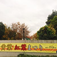 Photo taken at 昭和記念公園 高松口 by みこっこ on 11/18/2017