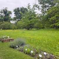 Photo taken at Botanischer Garten by Lyubov K. on 5/18/2023