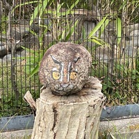 Photo taken at Inokashira Park Zoo by 肩に乗ってる 喋. on 4/6/2024