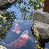 รูปภาพถ่ายที่ Japanese Friendship Garden โดย نور نجد เมื่อ 4/1/2023