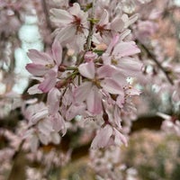 Photo taken at Okunitama Shrine by takeyourmarks p. on 4/5/2024