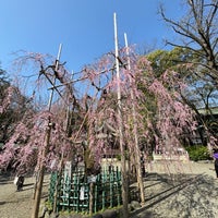 Photo taken at Okunitama Shrine by takeyourmarks p. on 3/30/2024