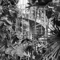 Photo taken at Palm House by Nino M. on 1/30/2024