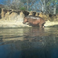 Photo taken at San Antonio Zoo by J Z. on 2/23/2024