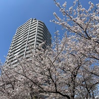 Photo taken at Shinagawa Central Park by kmym on 4/1/2023
