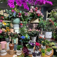 Photo taken at Mongkok Flower Market by Celine🇭🇰 on 3/29/2024