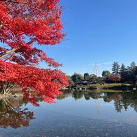 Photo taken at 昭和記念公園 日本庭園 by 您 龍. on 11/29/2023