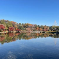 Photo taken at 昭和記念公園 日本庭園 by 您 龍. on 11/29/2023