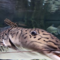 Photo taken at Jakarta Aquarium by Laurensius S. on 5/21/2023