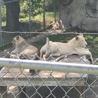 Photo taken at Alabama Gulf Coast Zoo by Sandy D. on 9/25/2019