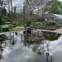 Photo taken at Vijver (De Hortus Botanicus) by Liliana N. on 4/13/2023