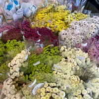 Photo taken at Mongkok Flower Market by Nova B. on 7/20/2023