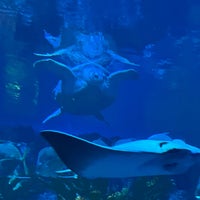 Foto tirada no(a) New England Aquarium por Charlene B. em 10/15/2023