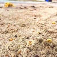 Pantai Bali Lestari 7 Tips Dari 1067 Pengunjung