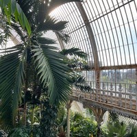 Photo taken at Palm House by Albert on 2/16/2024