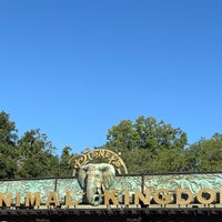 Photo taken at Animal Kingdom Main Entrance by Stephanie D. on 10/24/2023