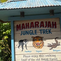 Photo taken at Maharajah Jungle Trek by Stephanie D. on 2/28/2024
