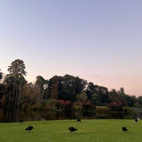 Photo taken at Royal Botanic Gardens by Nono on 5/2/2024