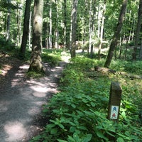 Photo taken at Forêt de Soignes / Zoniënwoud by Jimmy B. on 8/23/2023