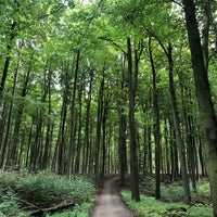 Photo taken at Forêt de Soignes / Zoniënwoud by Jimmy B. on 8/21/2023