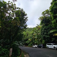 Photo taken at El Yunque National Forest by Hema R. on 2/11/2024