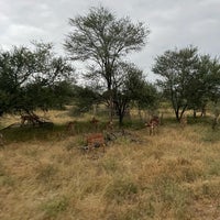 Photo taken at Kruger National Park by Yazeed on 2/28/2024