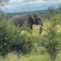 Photo taken at Kruger National Park by Yazeed on 2/27/2024