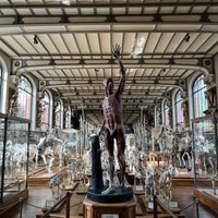 Photo taken at Galerie de Paléontologie et d&amp;#39;Anatomie comparée by ちぇる on 9/23/2023