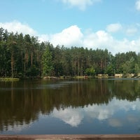 Старый Пруд Фото Старый Пруд Фото