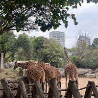 Photo taken at Serpentario del Zoológico de Chapultepec by Tiffany W. on 12/3/2023