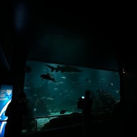 Photo taken at Aquàrium de Barcelona by Faisal S. on 4/17/2024