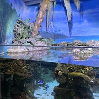 Photo taken at Aquàrium de Barcelona by Faisal S. on 4/17/2024